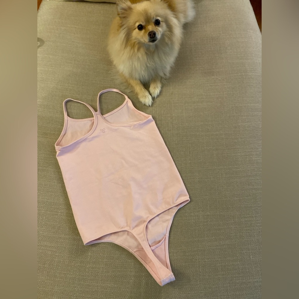Cupid Pink Bodysuit ARITZIA